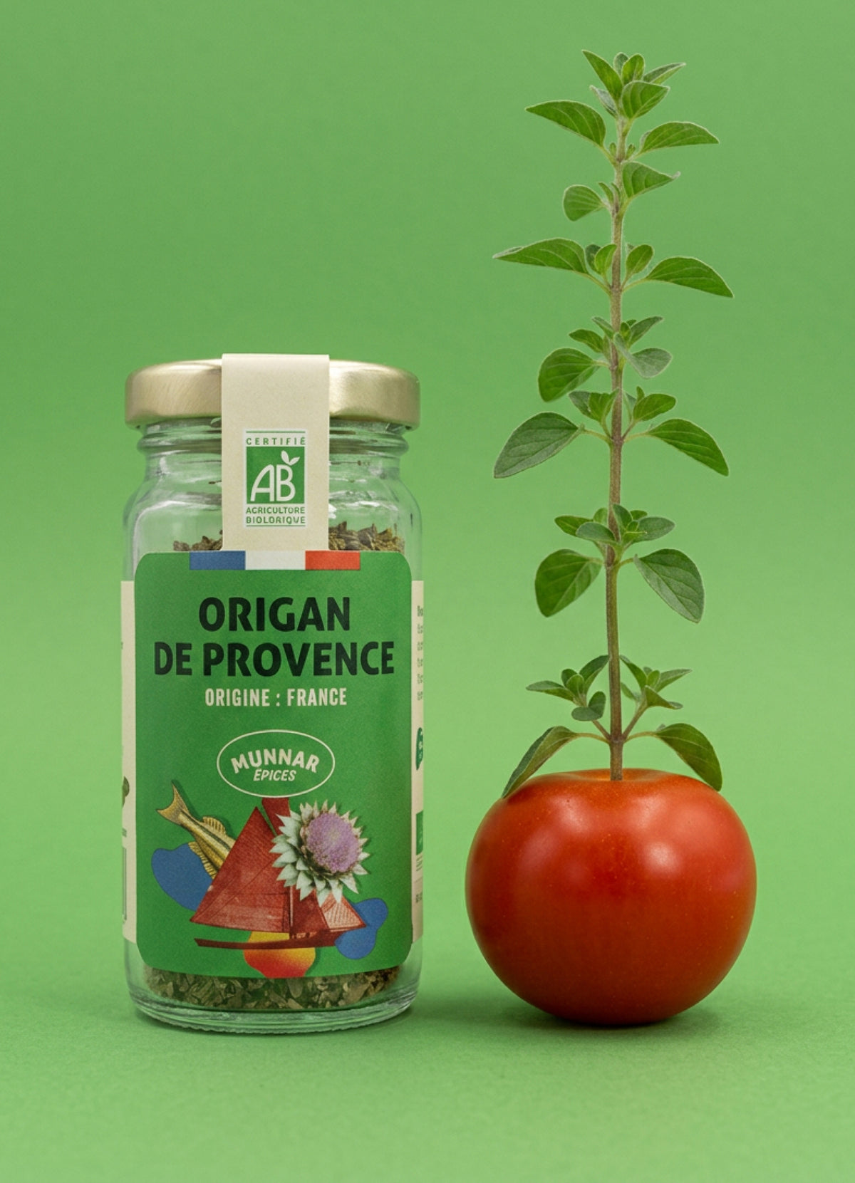 Origan de Provence