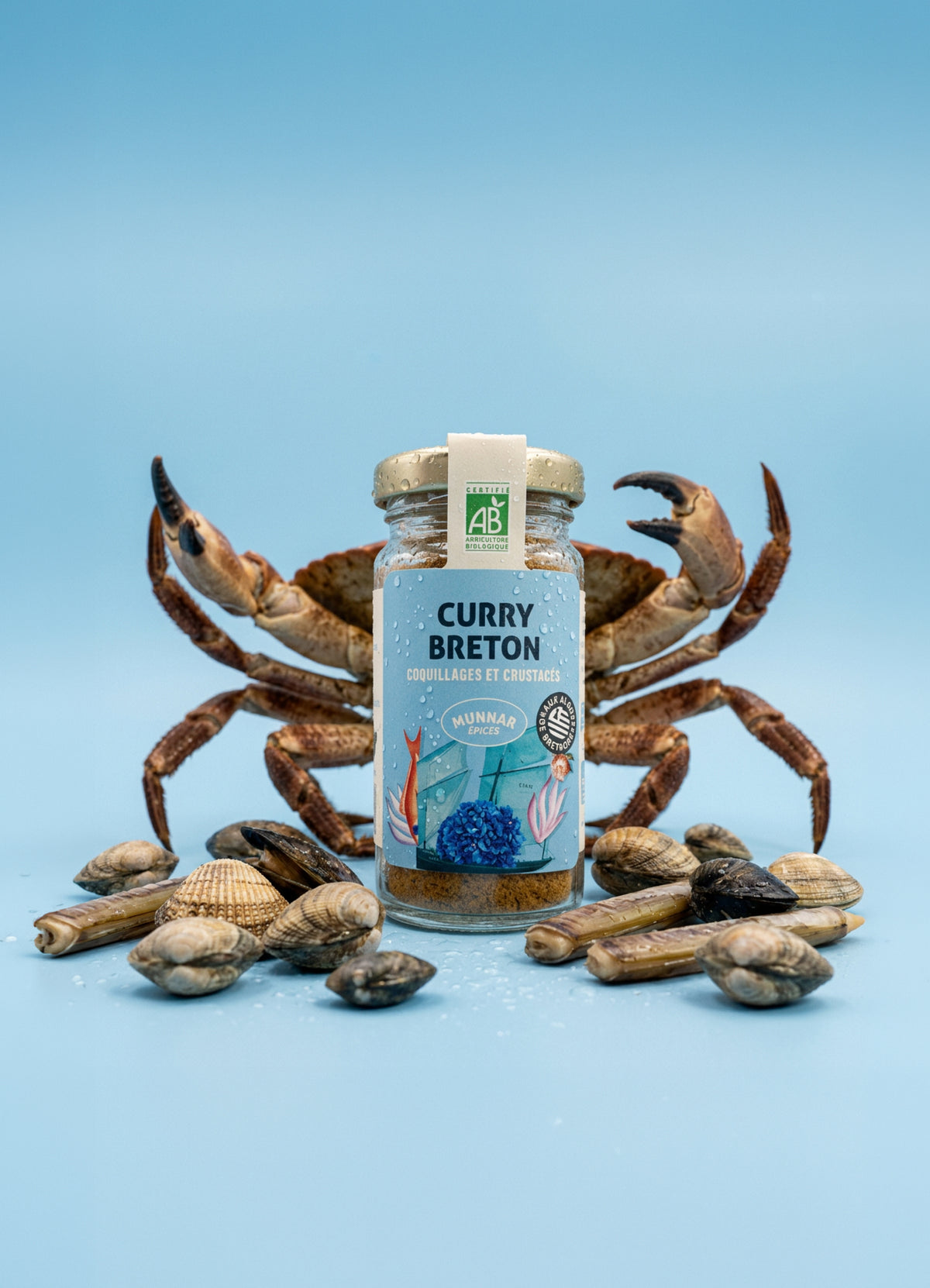 Curry Breton
