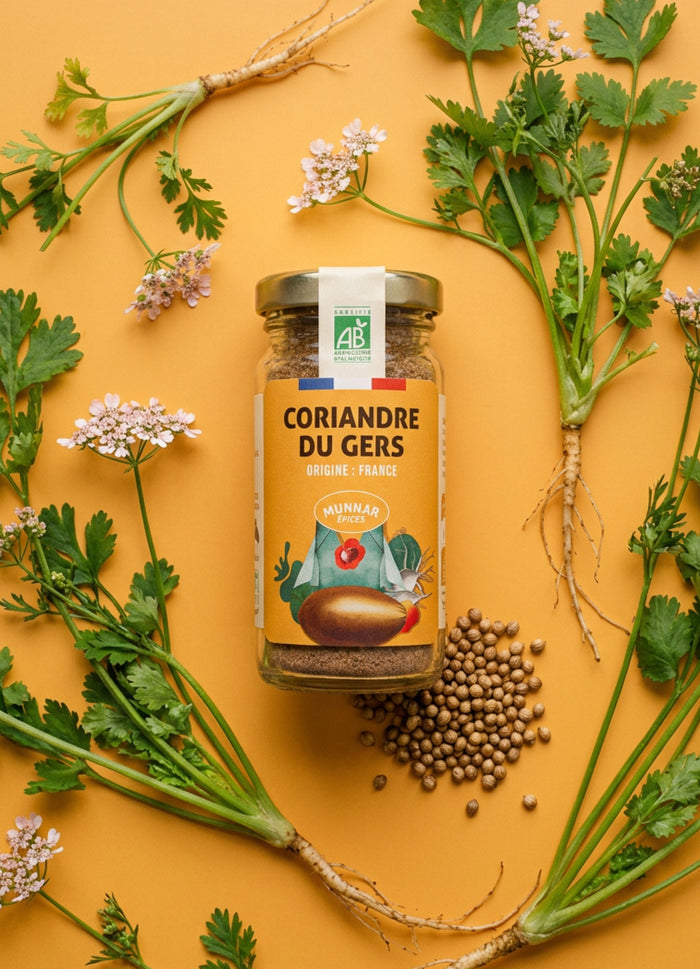 Coriandre du Gers