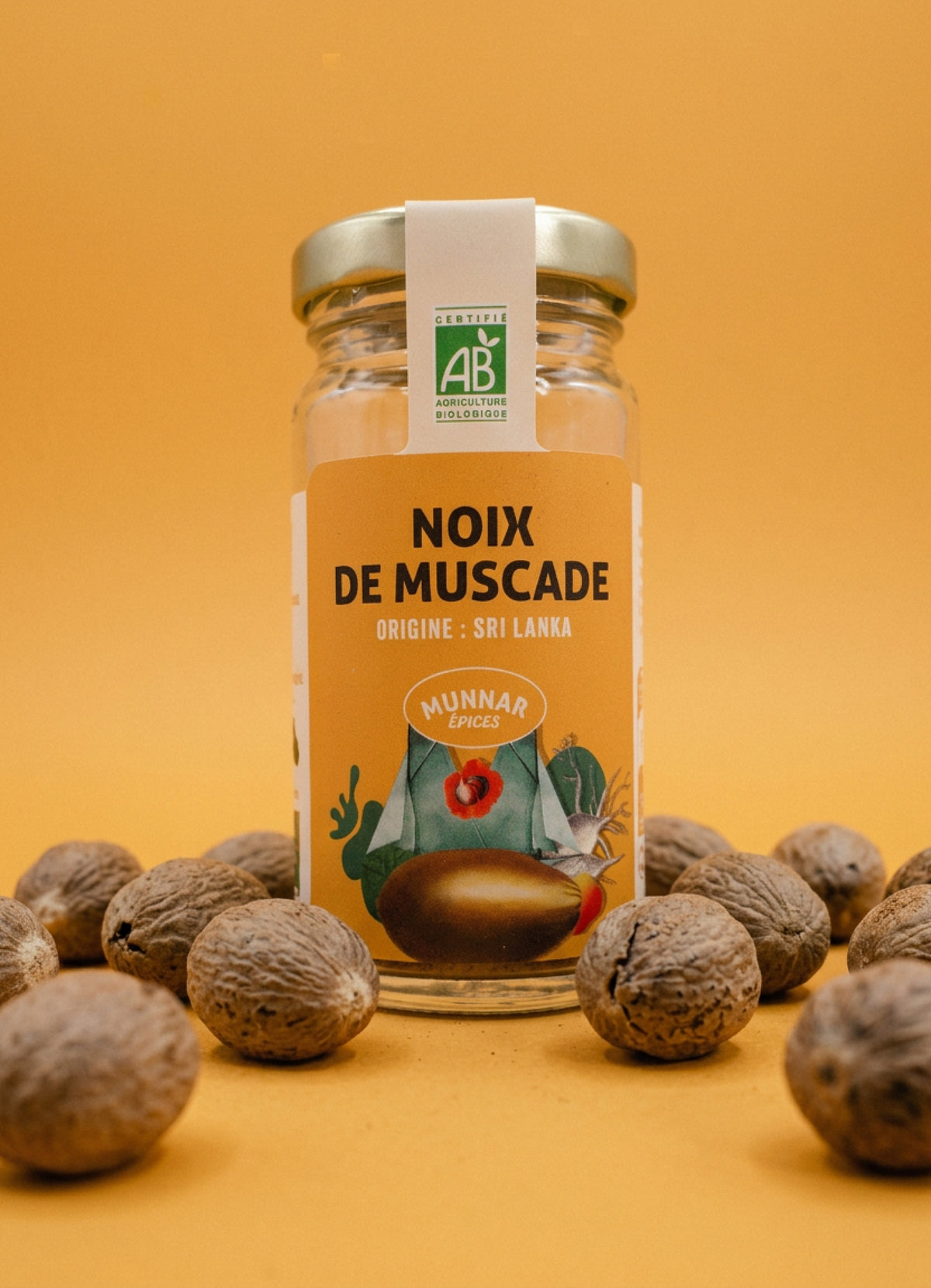 Noix de Muscade