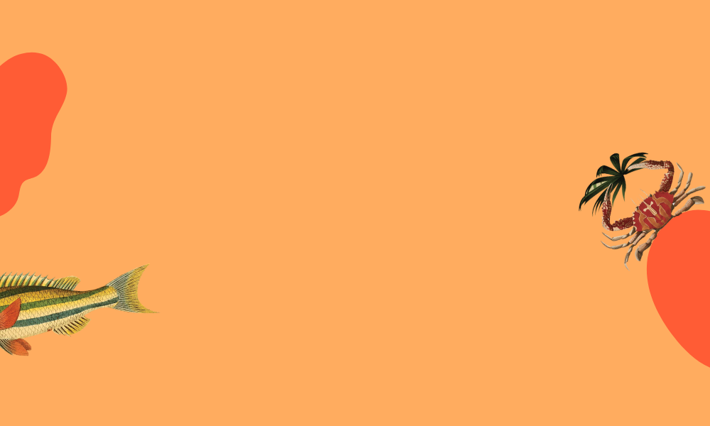 Munnar Épices - grande épicerie - épices bio - traçabilité - Monoprix - frichti - paris - Bretagne - kérala - direct producteurs - coopératives - agriculture raisonnée poivre nomie Shira terre exotique mélanges d'épices - bienfaits - healthy - roellinger