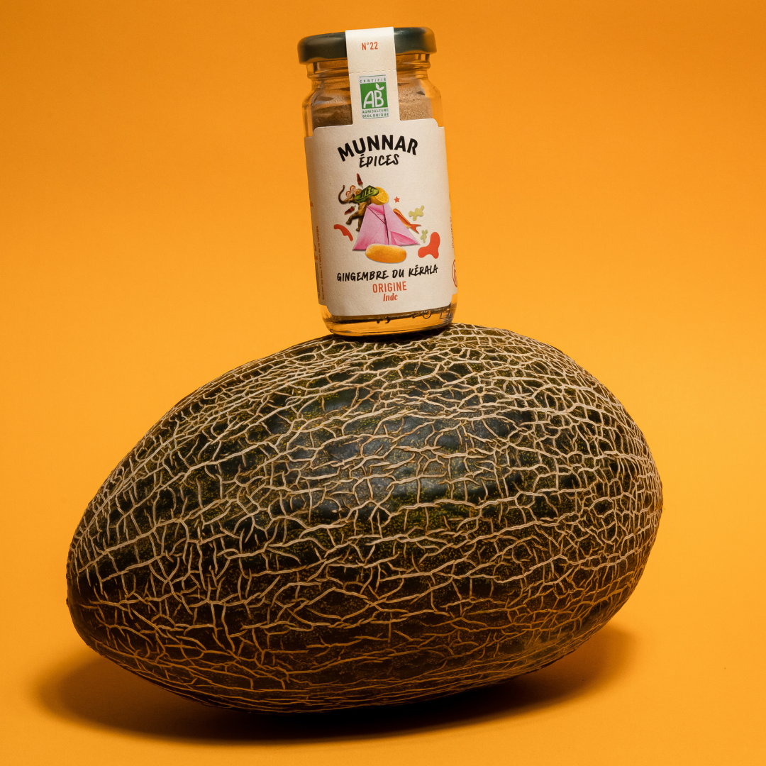 Munnar Épices - bio - gingembre kérala - healthy - bienfaits - origine Inde - direct producteur