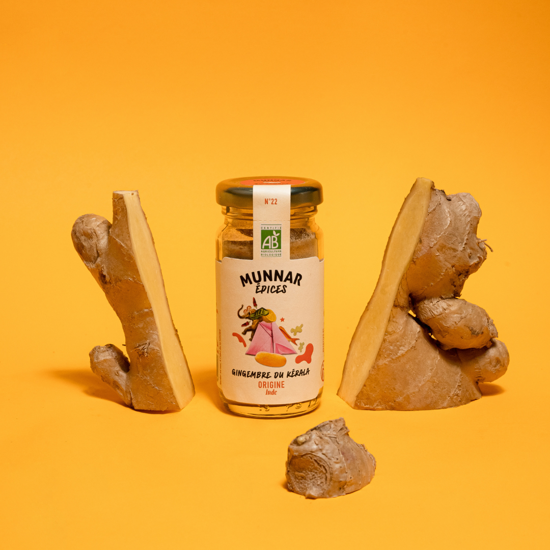Munnar Épices - bio - gingembre kérala - healthy - bienfaits - origine Inde - direct producteur